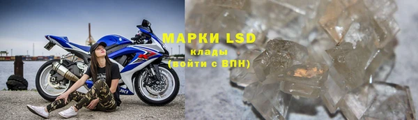 apvp Белокуриха
