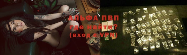 тгк Богданович